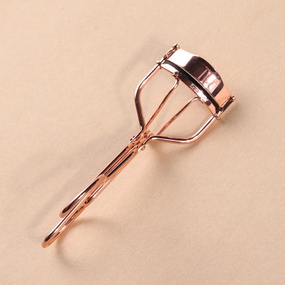 Anne Lashcurler