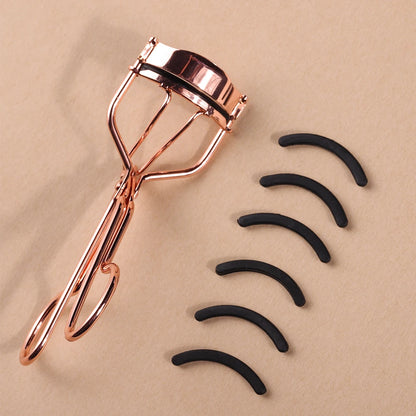 Anne Lashcurler