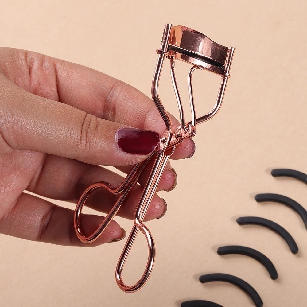 Anne Lashcurler