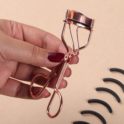 Anne Lashcurler